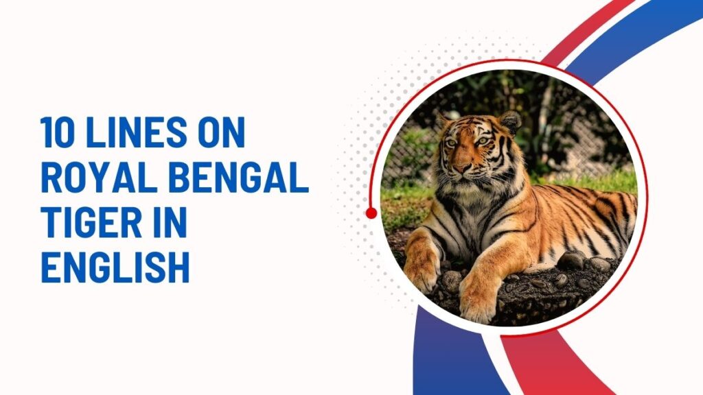 10 Lines On Royal Bengal Tiger In English