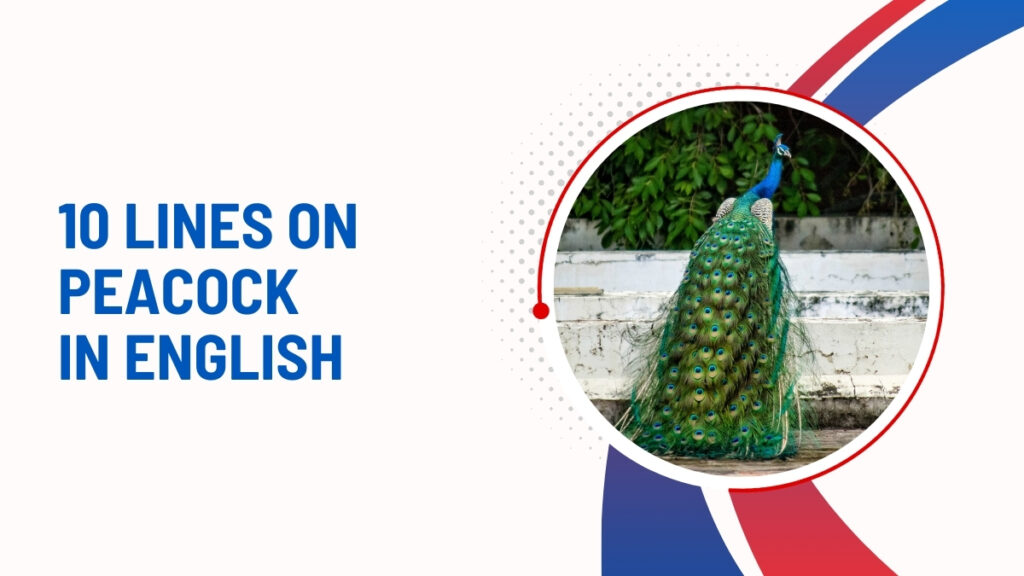 10 Lines On Peacock In English